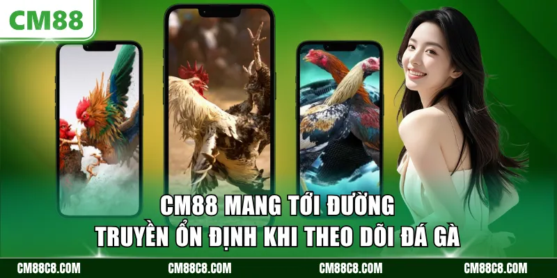 CM88 mang tới đường truyền ổn định khi theo dõi đá gà