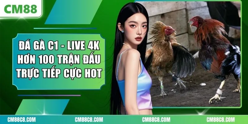 Đá Gà C1