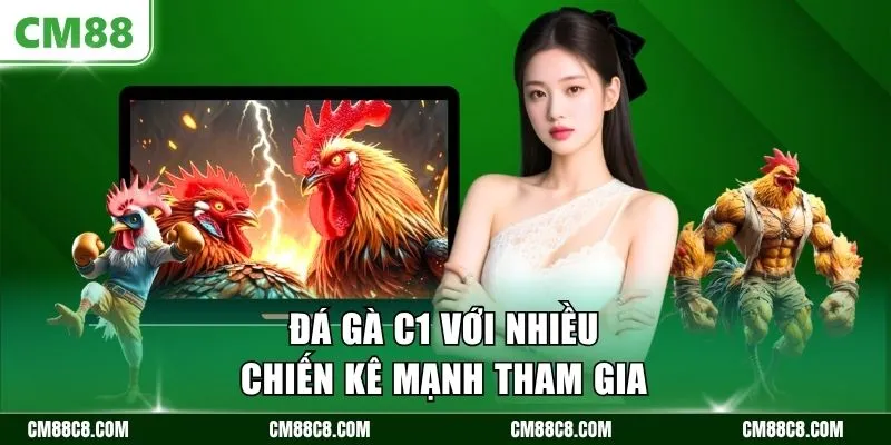 Đá gà C1 với nhiều chiến kê mạnh tham gia