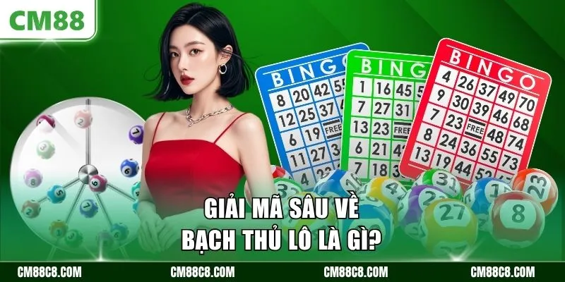 Giải mã sâu về bạch thủ lô là gì?