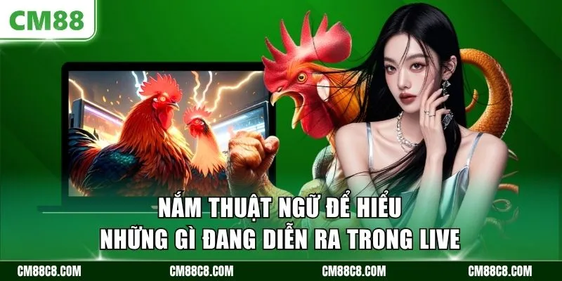 Nắm thuật ngữ để hiểu những gì đang diễn ra trong live
