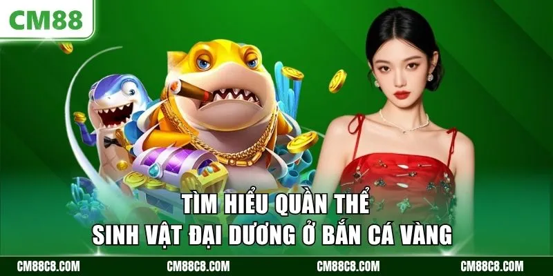 Tìm hiểu quần thể sinh vật đại dương ở bắn cá vàng